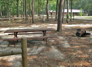 Open campsite area showing picnic table, fire ring and multiple marked sites among trees — good overview of typical tent/RV sites and the campground layout; image hosted on the site map/rules pages.