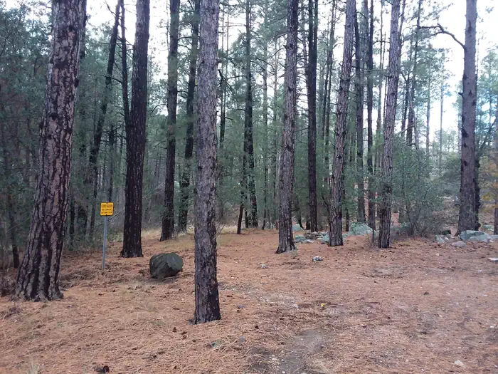 Turney Gulch Group