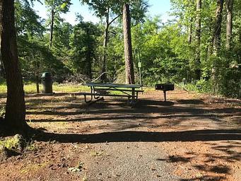 Campsite #7