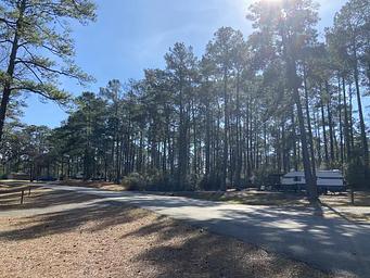 Trees Provide Shade and Privacy at Twin Dikes Campground