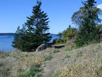 Blind Island