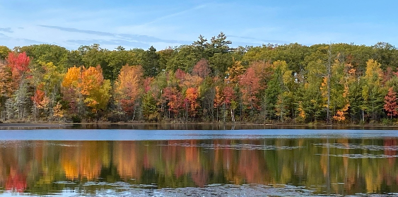 Punch Lake Campground