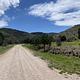 Gravel road accessing Guadalupe Mountains National Park in the Dog Canyon area. Green grass, trees and mountains surround the road. 