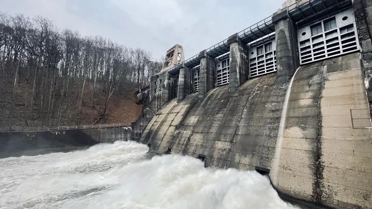 Bush Recreation Area