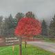 Kellettville Campground