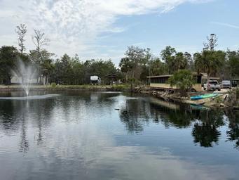 Privacy RV Resort of Steinhatchee