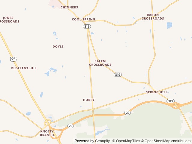 Map for Freedom and liberty for all! *Delivery only* near Aynor, NC