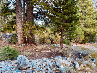 Campspot slideshow image 5