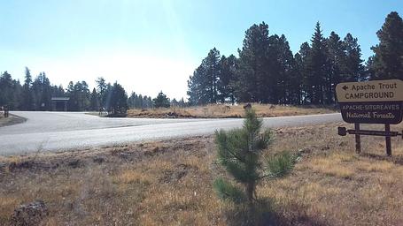 Apache Trout Campground