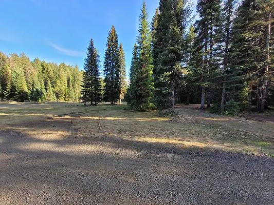 001, Loop: AREA FISH CREEK GROUP USE