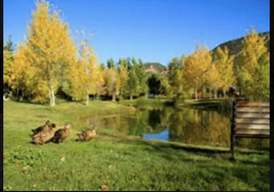 Aspen Grove Inn