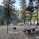 Campsite with picnic table, fire ring, and lantern hook