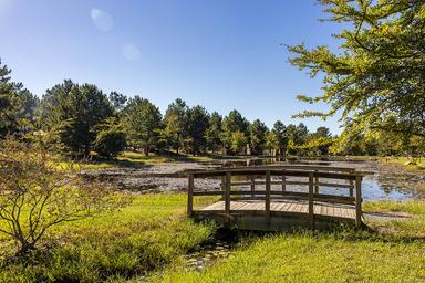 Pond and wooded campground grounds at Asheboro Jellystone Park
