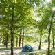 A tent is sitting in the middle of a forest surrounded by trees.