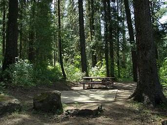 EVERGREEN CAMPGROUND - forested campsite
