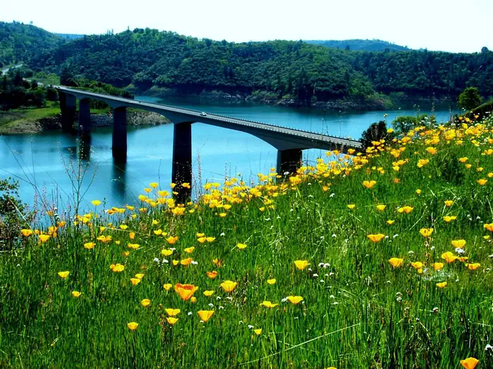 Tuttletown Recreation Area