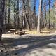 A photo of facility LAKESHORE EAST with Picnic Table, Fire Pit, Shade, Tent Pad