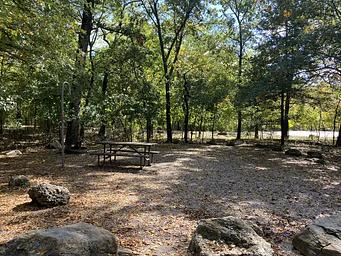 A campsite covered in yellow and orange leaves. A picnic table and lantern post are on the far left.