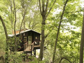 Treetop Hideaways