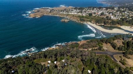 Mendocino Grove