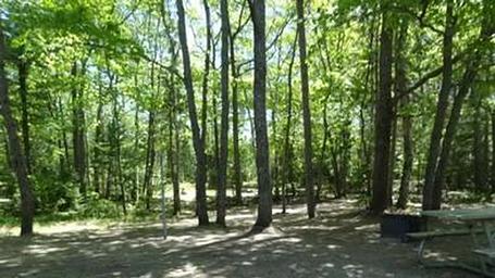 Bay View (Hiawatha National Forest, MI)