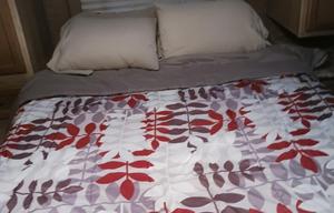 Bebe's RV sleeps 8, take her on your next trip!