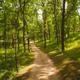 Ground-level view of a shaded dirt path through wooded campsites and grassy slopes — shows campsite setting and tree cover. Source: Gallery page on the campground website (explicit gallery photo).