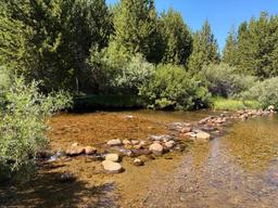 Dutch Joe Campground