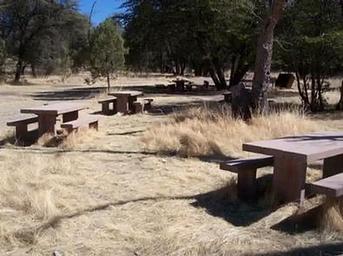 Camp Rucker Group Site