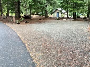 Pine Point