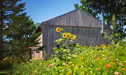 Blue Heron Farm and Retreat