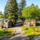 View of multiple cabin units and grassy picnic areas along paved roads — an on-property shot (ways-to-stay) that illustrates the campground's cabin lodging and site layout.