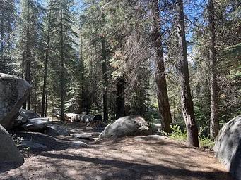 1, Loop: AREA SILVER CREEK GROUP CAMPGROUND