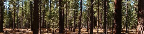 Old Shady Rest Campground