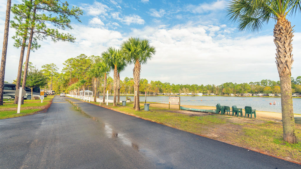 Flamingo Lake
