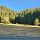 South Umpqua Falls Campground Meadow
