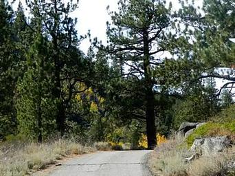 KIT CARSON CAMPGROUND