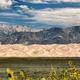 Panoramic view with sunflowers and green fields in the foreground, sand dunes lit by the sun with soaring mountains in the background.