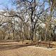 Valley Oak Campground