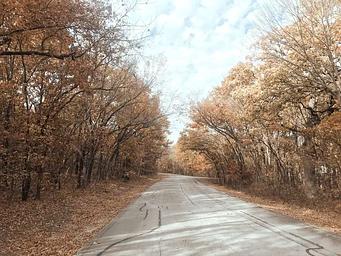 Redbud Bay entry road in the fall 2