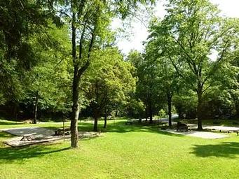 CURTIS CREEK CAMPGROUND (NC)