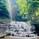 Salt Springs Park