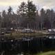 Spring (Clean Up Weekend)