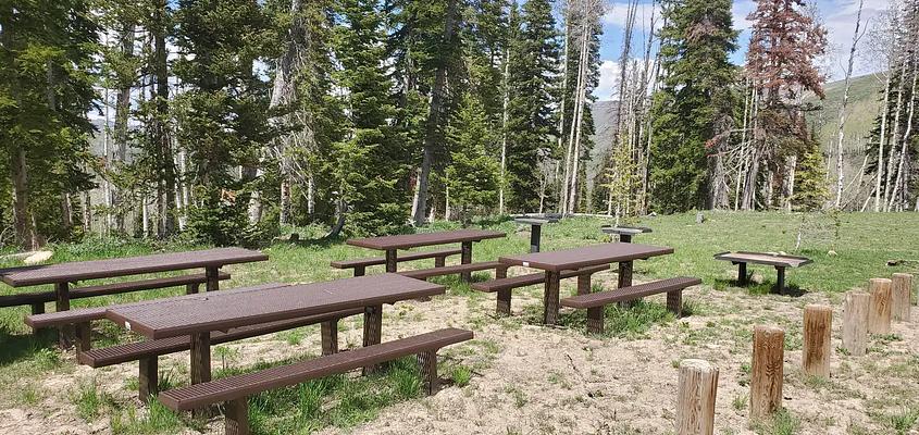 Group, Loop: MILLER FLAT RESERVOIR CAMPGROUND