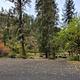 South Fork Site #5