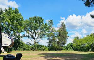 Indigo on the Ranch