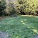 Grassy campsite with picnic table and fire ring, useful to illustrate a typical tent or picnic site and campground grounds (Policies page).