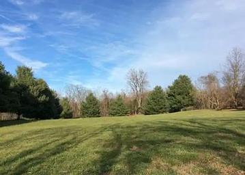 The grassy field that comprises Rohrbach Group Campground