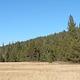 Goose Meadow Campground