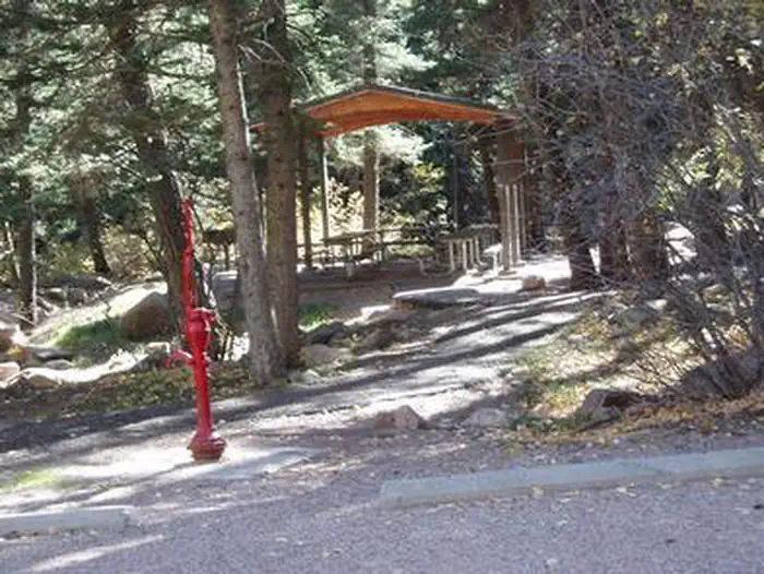 Spruce Group - Lake Isabel